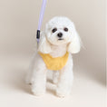 Load image into Gallery viewer, reflective heavy-duty pet leash