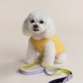 Load image into Gallery viewer, reflective heavy-duty pet leash
