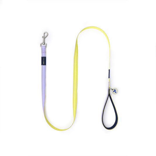 reflective heavy-duty pet leash